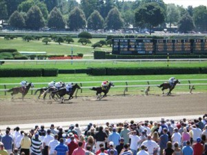 Get to Know your Horse Racing Betting Terms