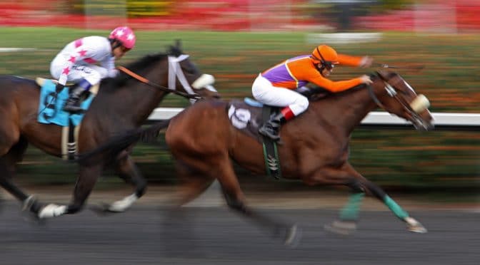 Each Way Treble Bets Explained on Horse Racing
