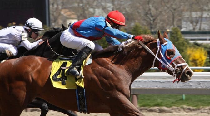 4-Fold Bet Explained