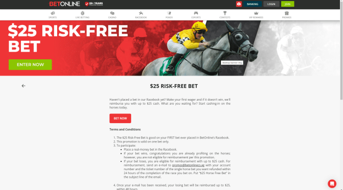 25 Risk Free Bet