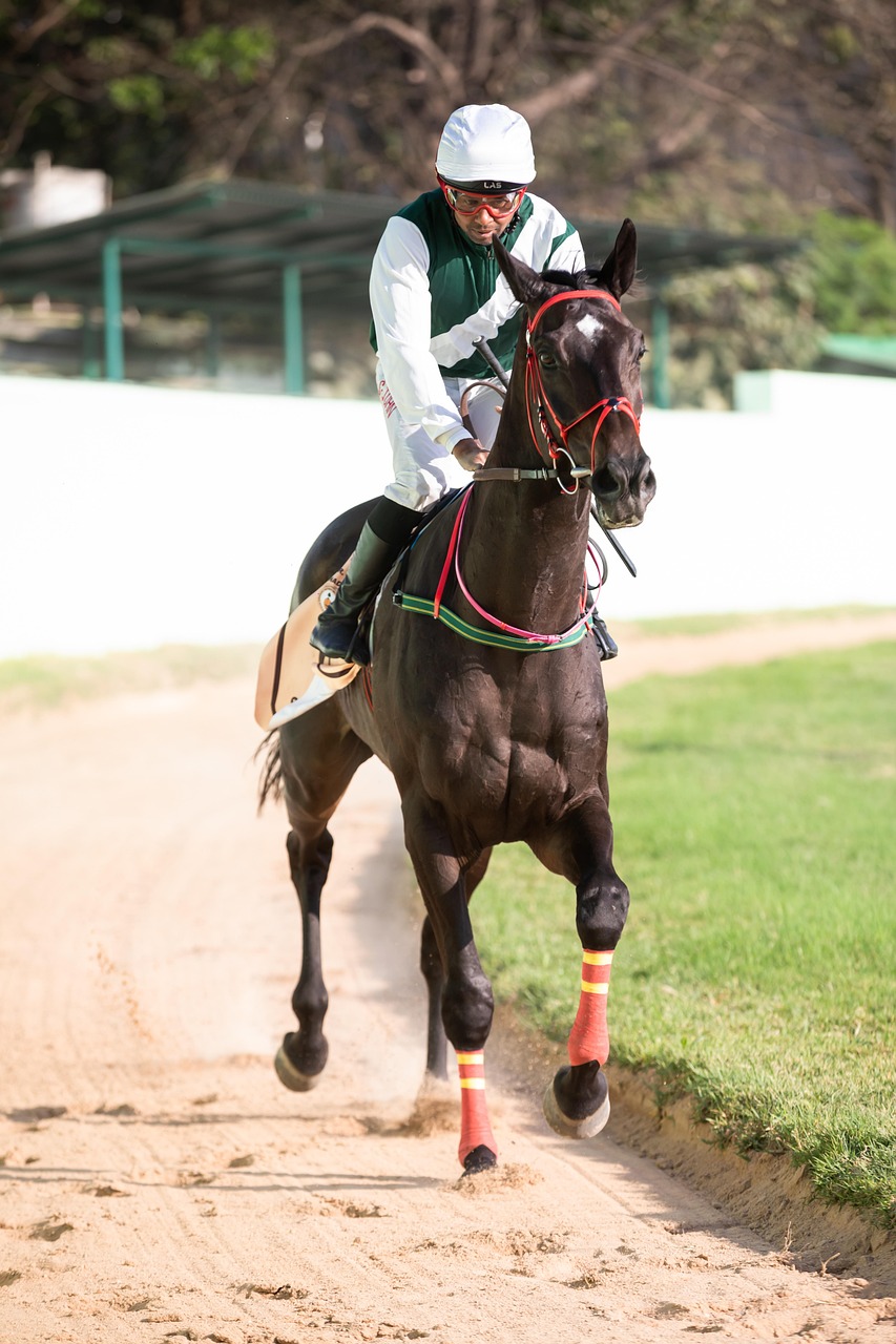 How to Box an Exacta Without Overpaying: Step-by-Step Cost Examples