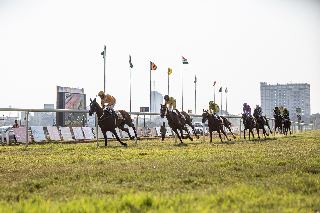 What Odds-On Means in Horse Racing and How It Affects Bet Size
