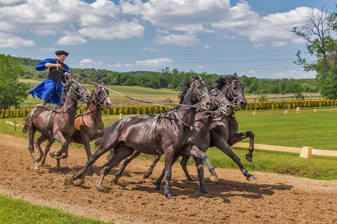 Quinella vs. Exacta: Which Simpler Exotic Bet Suits Beginner Bettors?