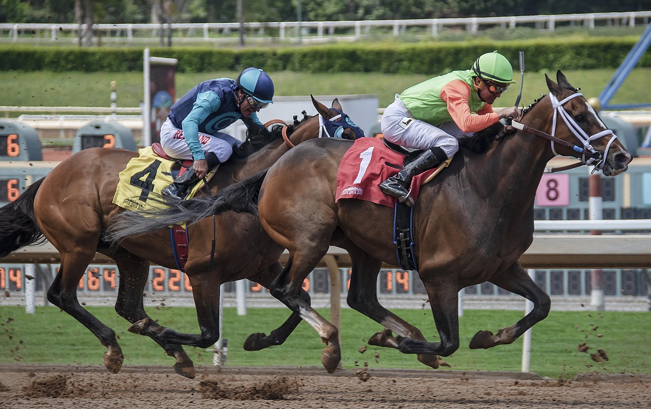 Which Sportsbook Has the Tightest Point Spreads for Value Bettors?