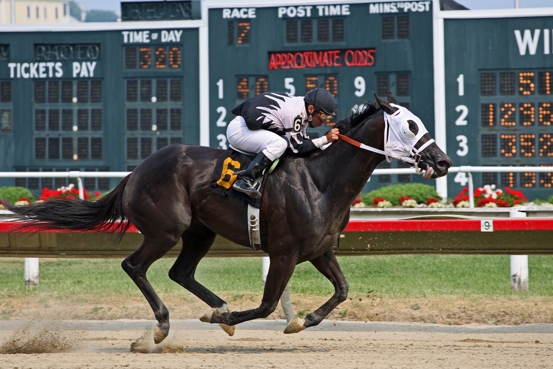 Best Sportsbooks for Live Betting: Where to Make Fast In-Play Bets